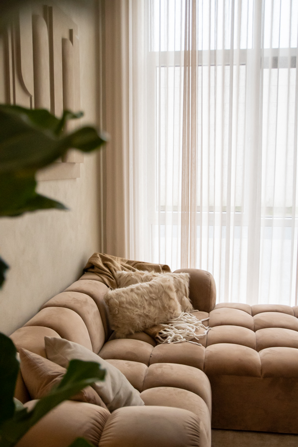 Sierkussen Dove
